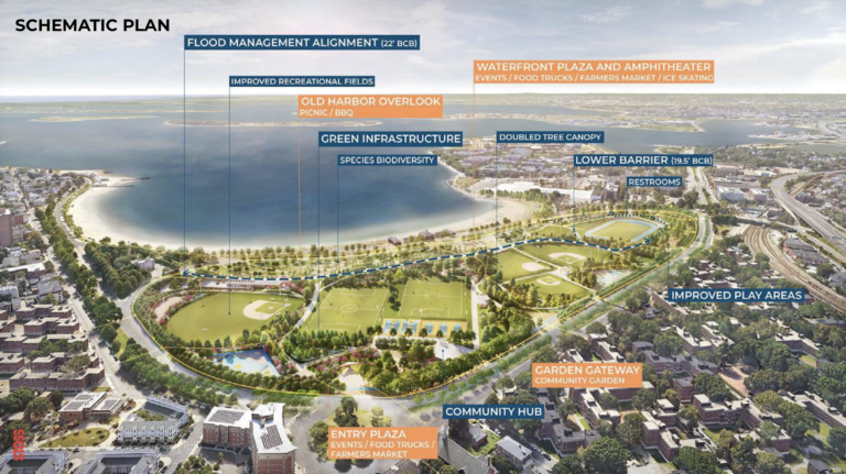 Transforming Urban Public Space: Addressing Climate Change, Accessibility, and Social Inclusion