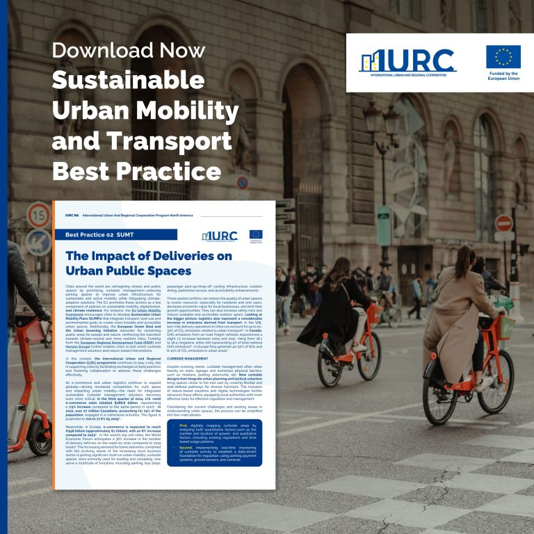 The Impact of Deliveries on Urban Public Spaces 