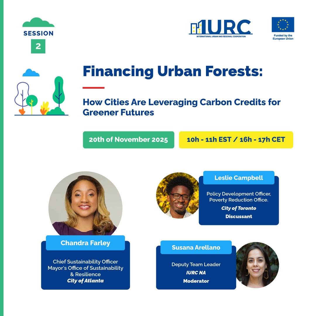 Financing Urban Forests: How Cities are Leveraging Carbon Credits for Greener Futures 