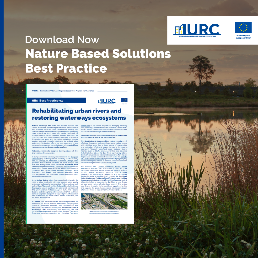 Rehabilitating Urban Rivers with Nature-Based Solutions